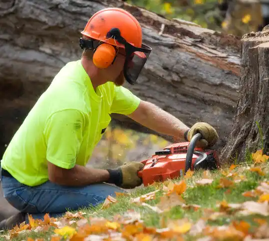 tree services Atlantic City